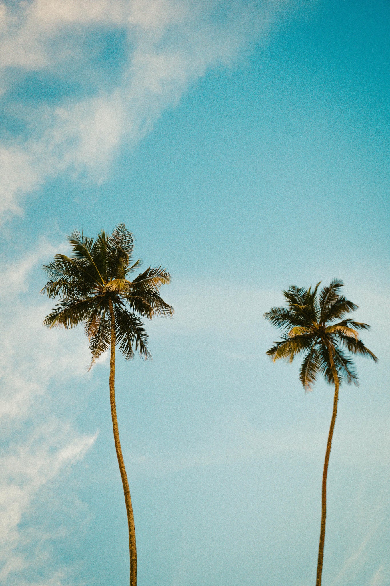 TICY x Sri Lanka